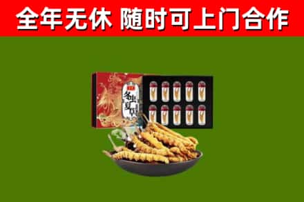 鄄城县回收冬虫夏草价格